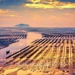 Avatar Manuel Saavedra