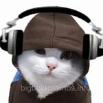 Avatar Pilar Montiel